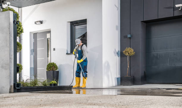 Best Roof Washing  in Ensley, FL